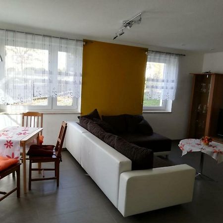 Ferienwohnung, Monteurwohnung Grossrohrsdorf Exterior foto